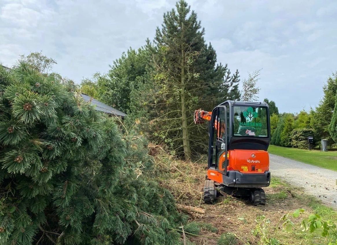 0C2F50F2-DBF3-4256-ADE2-2763033F7AD4