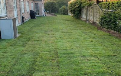 Anlægning af rullegræs