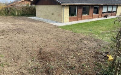 Rydning af bevoksning og stubfræsning