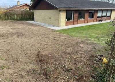 Rydning af bevoksning og stubfræsning